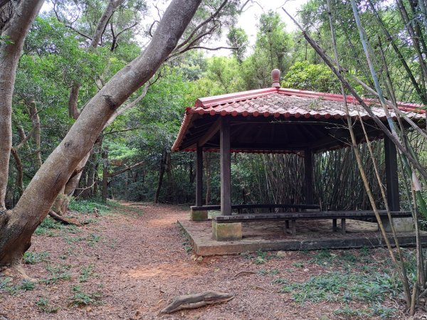 2026森遊竹縣：石光古道（老虎山步道）3107327