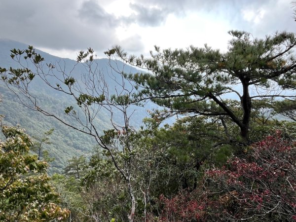 20260124_鳶嘴山（台中小百岳）3102231