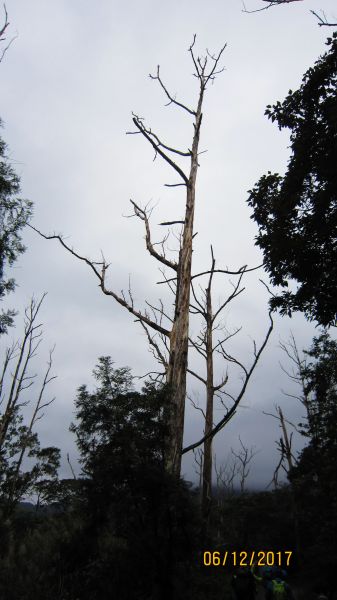 礁溪 - 聖母步道  煙雨故人來 ... 222689