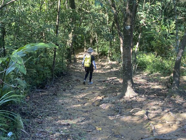 2025微笑山線大縱走尋寶集章任務-Ep.12【五分山系】望古瀑布段2908858