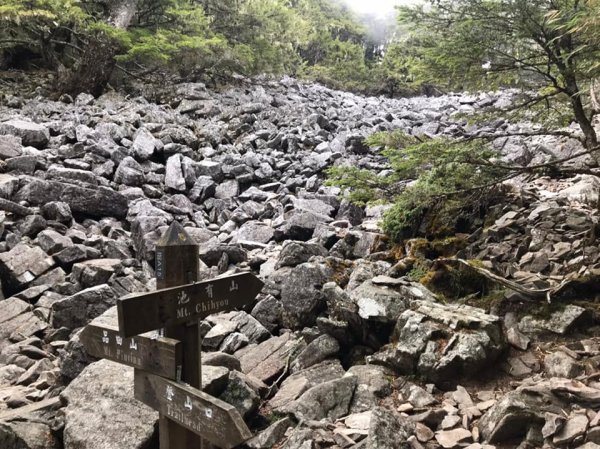 武陵四秀成兩袖(一秀加一宿)1142474