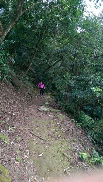 107.03.18 日月洞>土城天上山290070