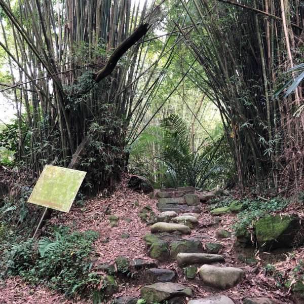 溪洲山登山口-新溪洲山-石門水庫897638