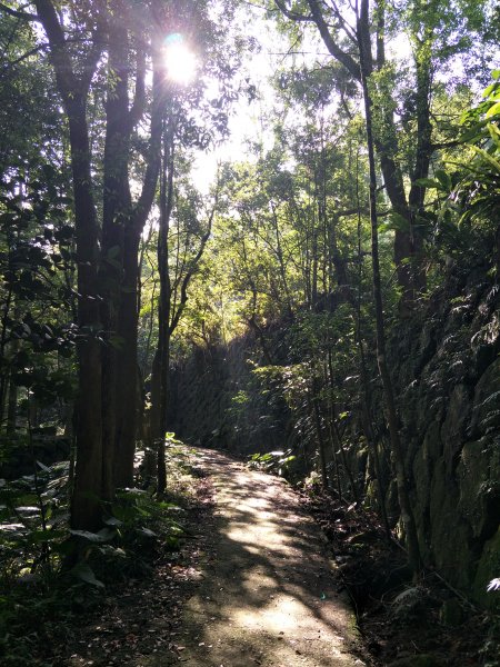 2019 09 03 關仔嶺大凍山步道670376