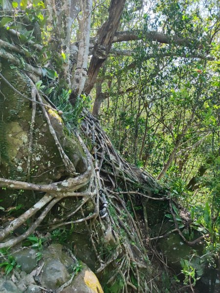 微笑山線筆架二格山系2860403