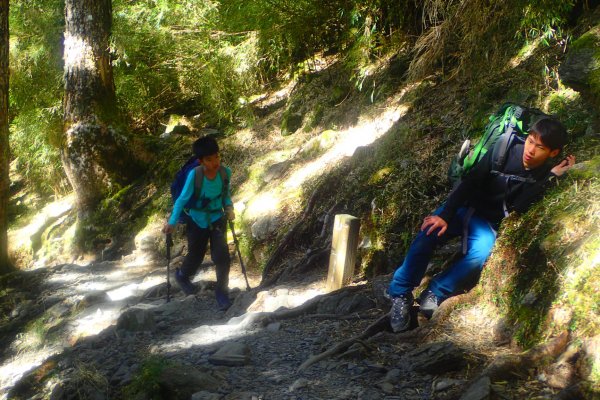 登峰造極--2018玉山主峰532640