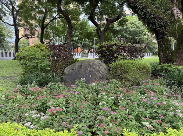 [2026臺北健走趣-11/50] 2026_0808_臺大舟山路3112205