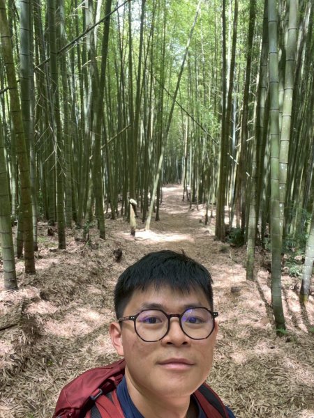 嵐山再古坑。五元兩角 木馬古道2806159