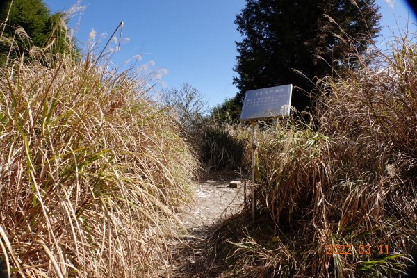 宜蘭 大同 三星山1640229