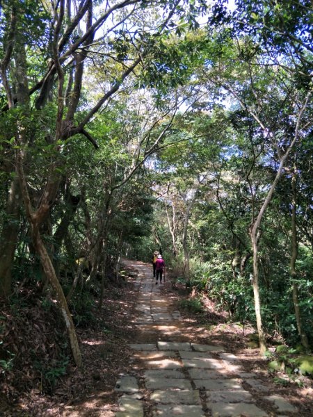 小百岳:飛鳳山&中坑山1436181