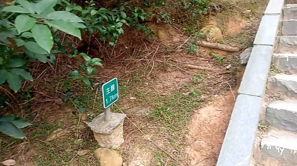 20230228 新竹新豐 鳳崎落日步道 走走2064549