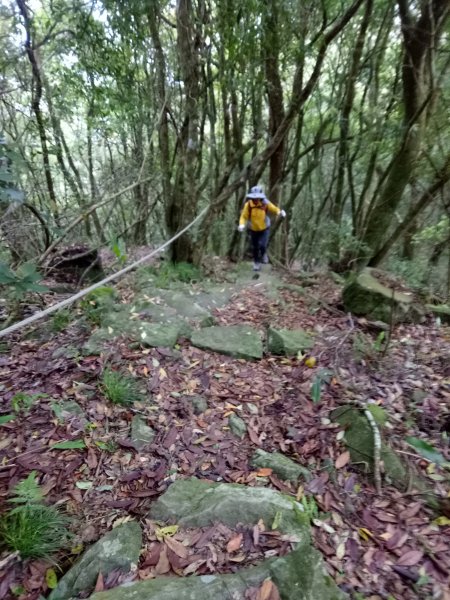 泰安水雲三星之橫龍山1909745