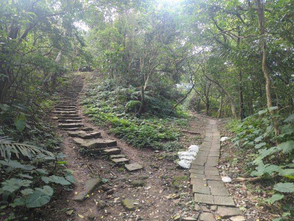 2026.01.25－微笑山線：【天上山系】烘爐地土地公段2994589