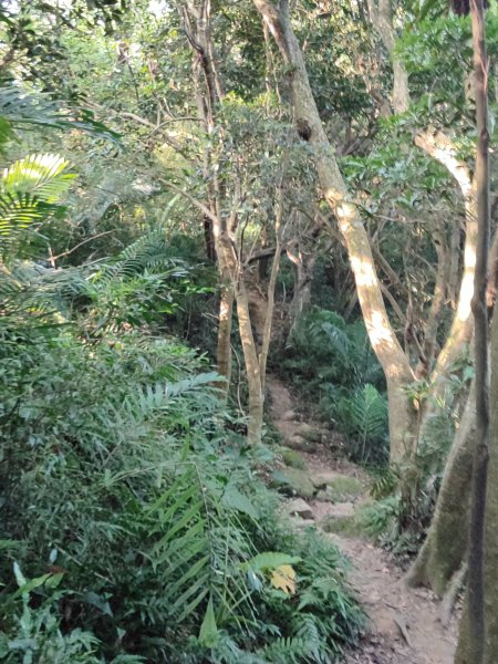微笑山線：【鳶山山系】鳶山彩壁段2855457