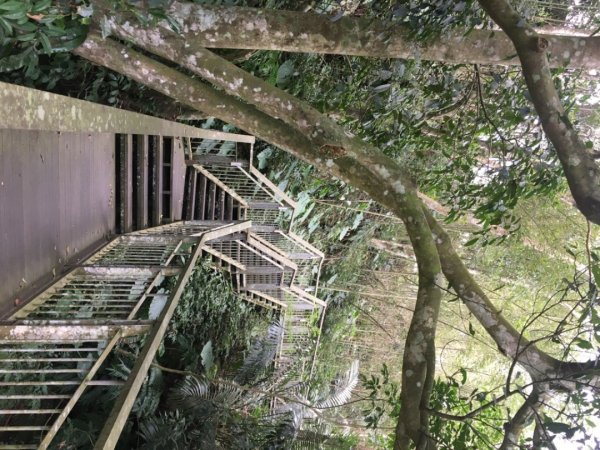 四十二份湧泉2723155