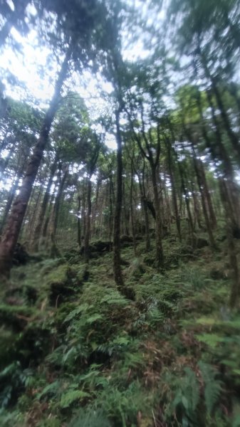 松羅湖1747267