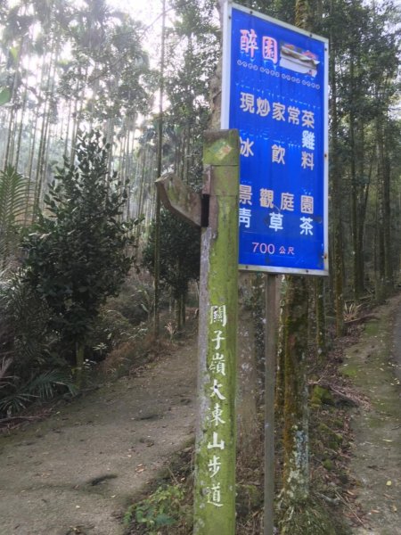 20181026-大凍山初登444943