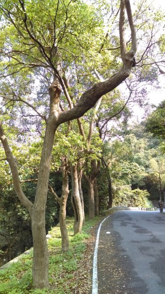 溪水潺涓的半嶺水圳步道、硫氣氤氳的龍鳳谷890841