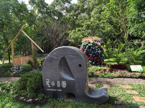 象山公園→糶米古道→土地公嶺步道→博嘉山2790303