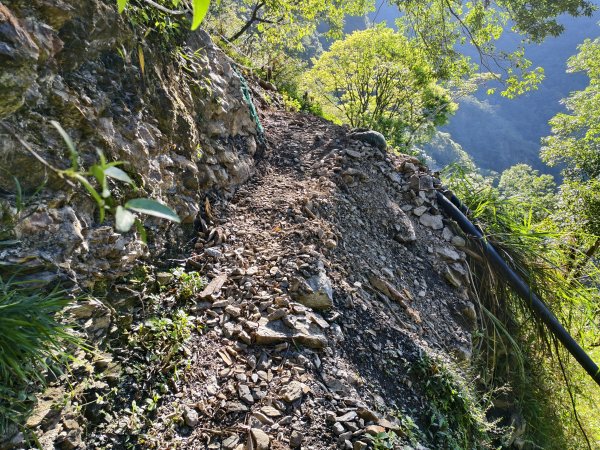 [玉山尋寶任務-07/12] 2025_0824 八通關雲龍瀑布步道2870567