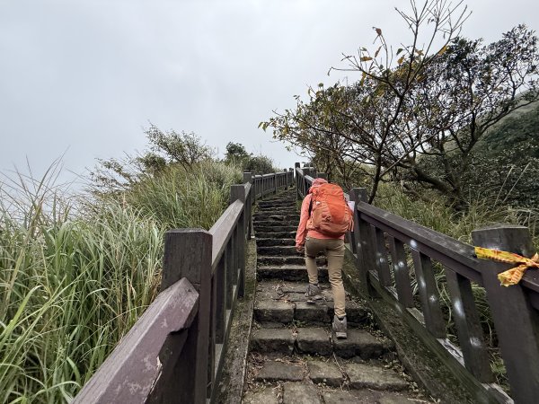 七星山 冷水坑上小油坑下環七星山人車分道O繞 202511082934879