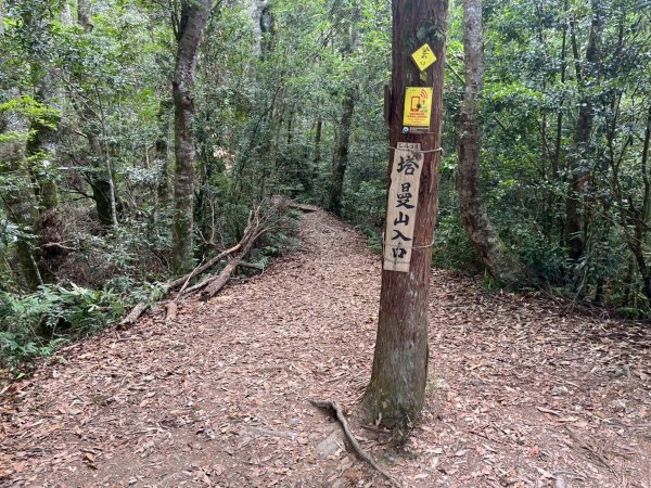 新北 塔曼山2832084