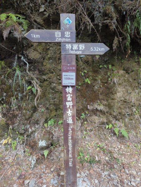 2026.02.14－特富野古道3013695