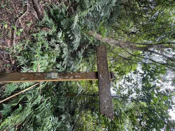 2025/04/13 小百岳第008「大崙頭山」2760264