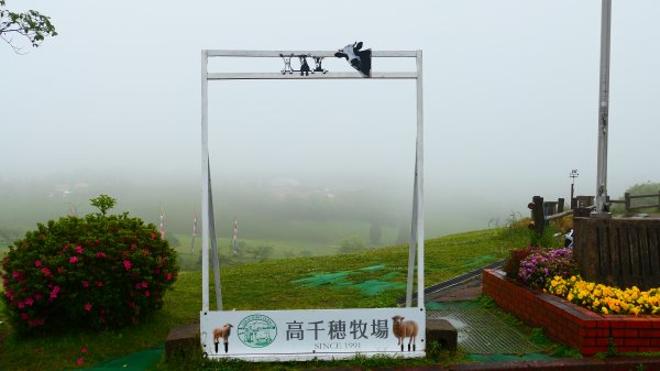 南九州－櫻島有村溶岩,桷志田,高千穗牧場,霧島神宮3063837