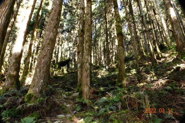 宜蘭 大同 三星山1640208