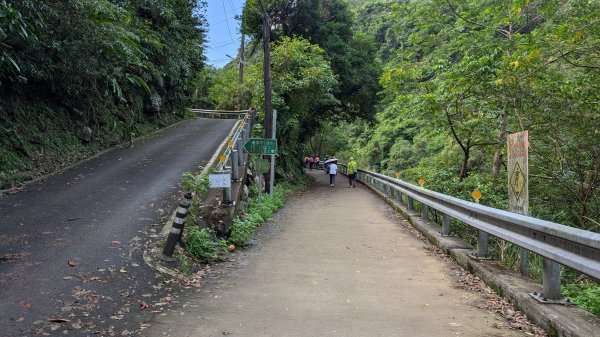114.11.09草嶺古道芒花季之旅2932950