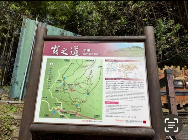 20251029石棹茶、霧、雲、霞、櫻、愛之道 樂野山 霹靂山2926605