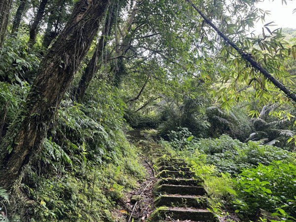 [微笑山線_第十一段] 2025_0803 五分山系_平溪小黃山段2851050