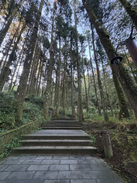 20251225塔山步道(大塔山)2970232