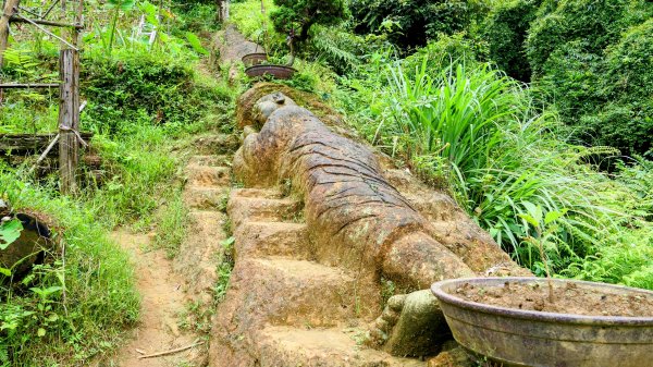 五堵獅頭山2810532