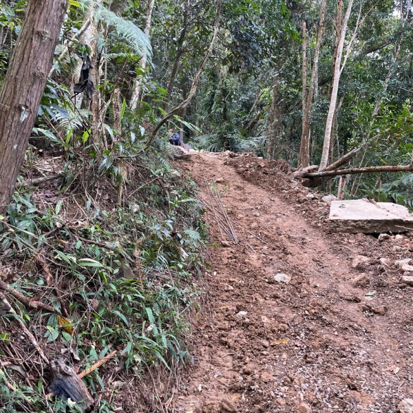 20250821_後尖山（南投小百岳）2941157