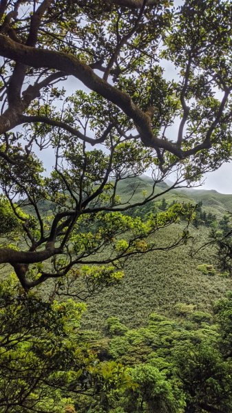 小觀音山西西峰 - 西峰 - 北峰935478