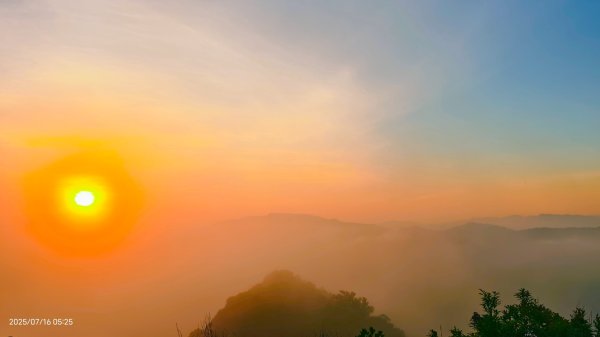 雲山水花鳥蝶-天龍國阿伯的日常 7/162838408