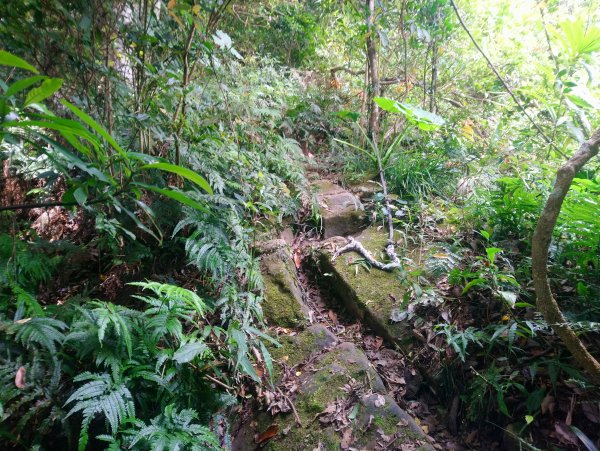 暗影山 小百岳 三等三角點4181690853