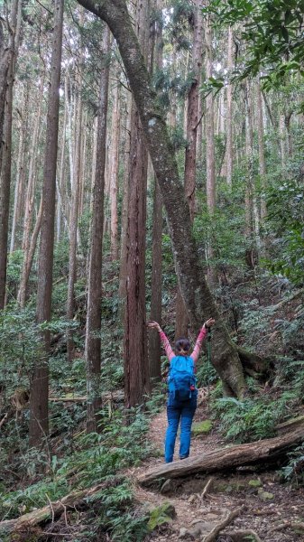 No.34小百岳-加里山2647257