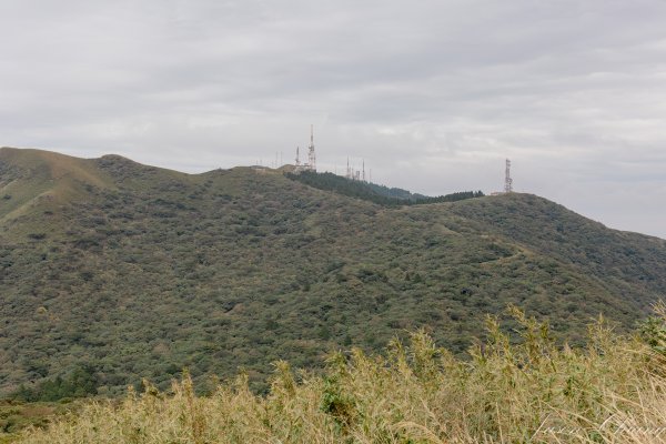 [台北]大屯山2693396