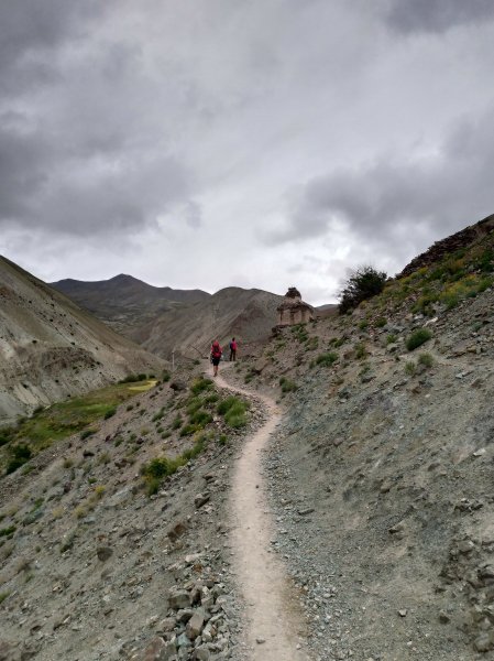 Markha Valley-India1001938