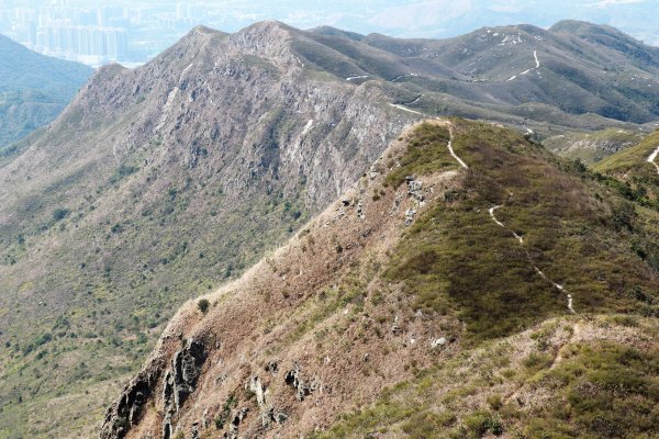 HK - 觀音脊、八仙嶺1465885