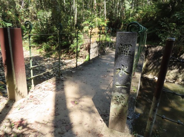 澀水森林步道(+水上瀑布)2915723