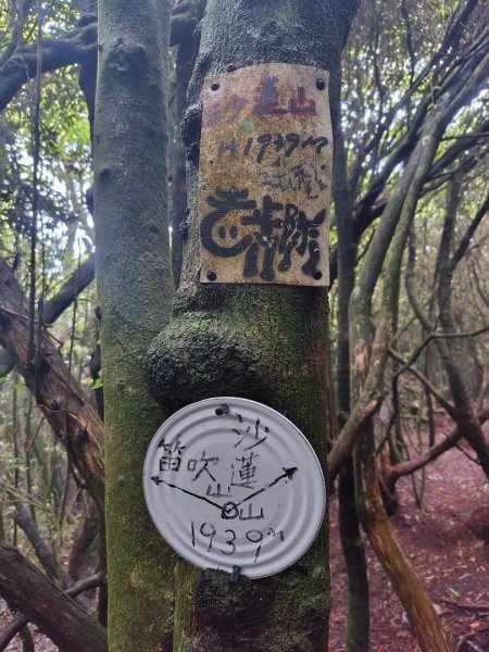 橫沙笛/橫嶺山、沙蓮山、笛吹山2799366