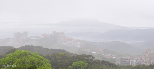 陽明山追雲趣 #天空之城 #石門嵩山梯田 #鳶尾花 #老梅綠石槽 4/5-63030201