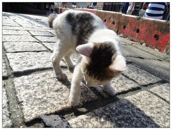 觀音巖步道 (新北 平溪)2909221