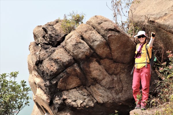 HK - 九徑山1499579