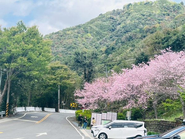 桃園 復興 巴陵古道3011851