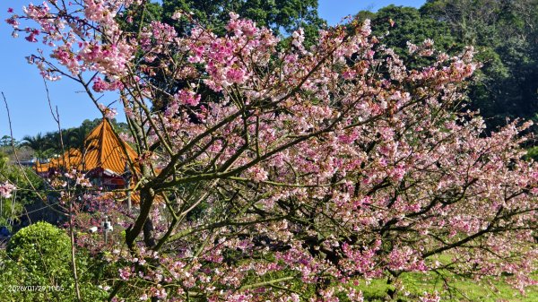 天元宮了嗎？2/32992589